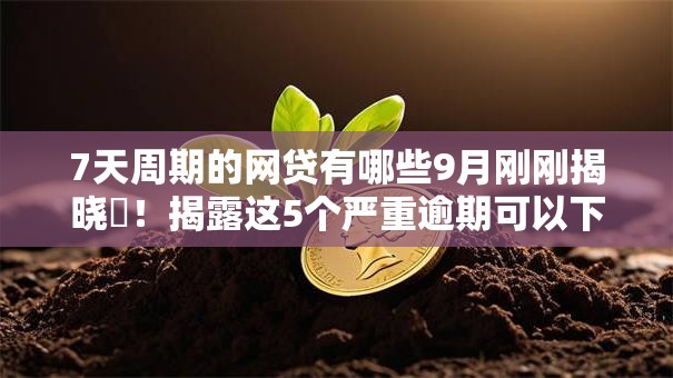 7天周期的网贷有哪些9月刚刚揭晓‌！揭露这5个严重逾期可以下款的口子