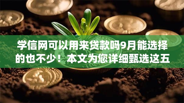 学信网可以用来贷款吗9月能选择的也不少！本文为您详细甄选这五个黑户网贷app！