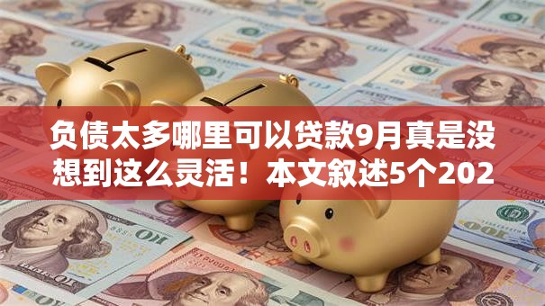 负债太多哪里可以贷款9月真是没想到这么灵活！本文叙述5个2025年无视黑白的网贷能下款的