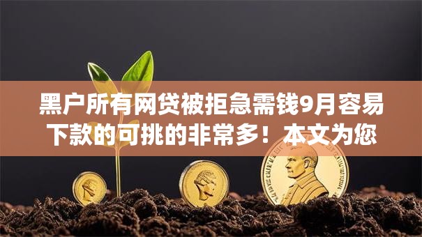 黑户所有网贷被拒急需钱9月容易下款的可挑的非常多！本文为您细致汇总​这五个黑户贷款app！