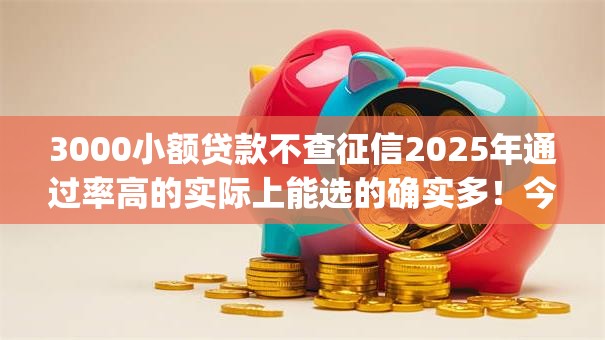 3000小额贷款不查征信2025年通过率高的实际上能选的确实多！今天为您过滤这五个网贷app！