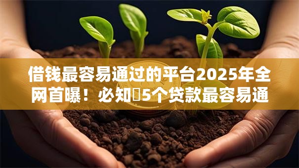 借钱最容易通过的平台2025年全网首曝！必知​5个贷款最容易通过的口子