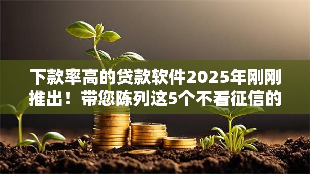下款率高的贷款软件2025年刚刚推出！带您陈列这5个不看征信的私人贷款秒下款