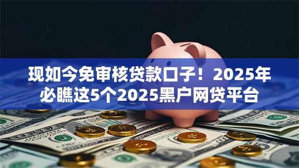 现如今免审核贷款口子！2025年必瞧这5个2025黑户网贷平台