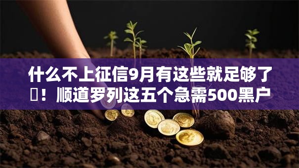 什么不上征信9月有这些就足够了‌！顺道罗列这五个急需500黑户贷款