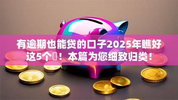 有逾期也能贷的口子2025年瞧好这5个​！本篇为您细致归类！