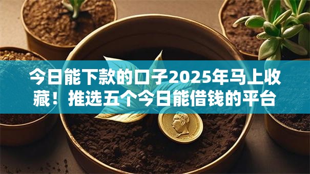 今日能下款的口子2025年马上收藏！推选五个今日能借钱的平台