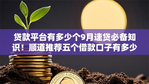贷款平台有多少个9月速贷必备知识！顺道推荐五个借款口子有多少个