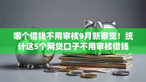 哪个借钱不用审核9月新察觉！统计这5个网贷口子不用审核借钱