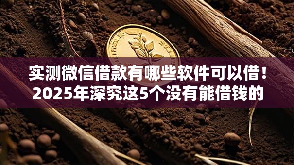 实测微信借款有哪些软件可以借！2025年深究这5个没有能借钱的口子