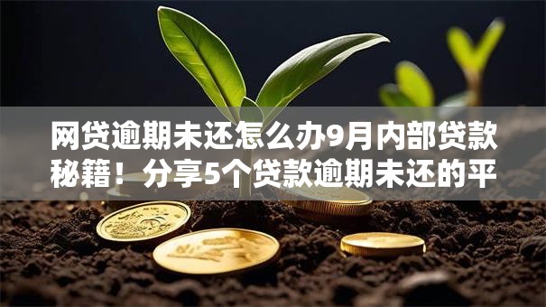 网贷逾期未还怎么办9月内部贷款秘籍！分享5个贷款逾期未还的平台要处理