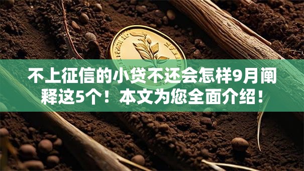 不上征信的小贷不还会怎样9月阐释这5个！本文为您全面介绍！
