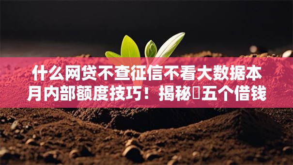 什么网贷不查征信不看大数据本月内部额度技巧!揭秘五个借钱口子不查征信不看大数据 什么网贷不查征信不看大数据本月内部额度技巧!揭秘五个借钱口子不查征信不看大数据