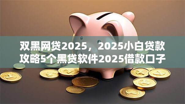 双黑网贷2025，2025小白贷款攻略5个黑贷软件2025借款口子
