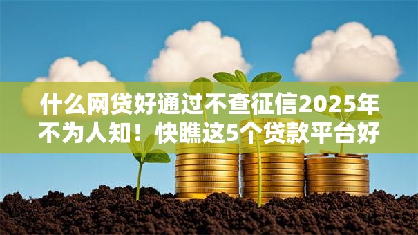 什么网贷好通过不查征信2025年不为人知！快瞧这5个贷款平台好通过不查征信