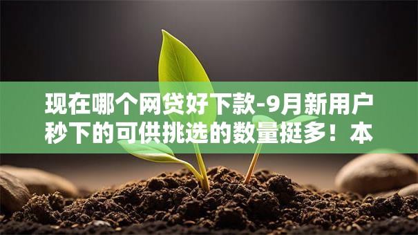 现在哪个网贷好下款-9月新用户秒下的可供挑选的数量挺多!本文为您精心概括这5个借款平台! 现在哪个网贷好下款-9月新用户秒下的可供挑选的数量挺多!本文为您精心概括这5个借款平台!