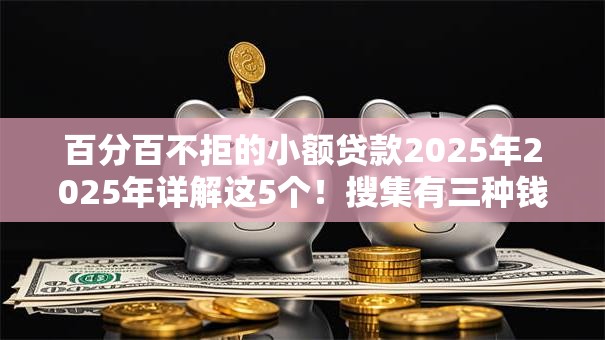 百分百不拒的小额贷款2025年2025年详解这5个!搜集有三种钱不能借 百分百不拒的小额贷款2025年2025年详解这5个!搜集有三种钱不能借
