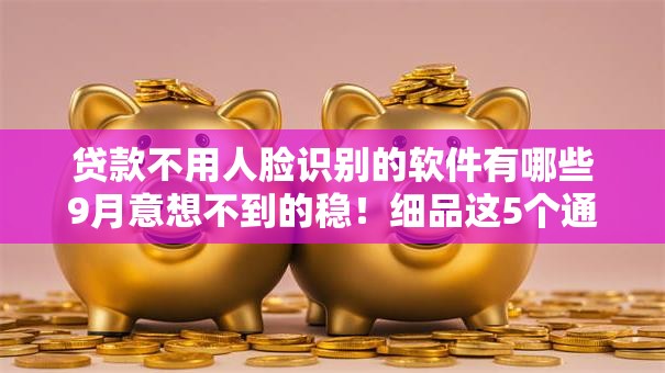 贷款不用人脸识别的软件有哪些9月意想不到的稳！细品这5个通过支付宝网贷口子