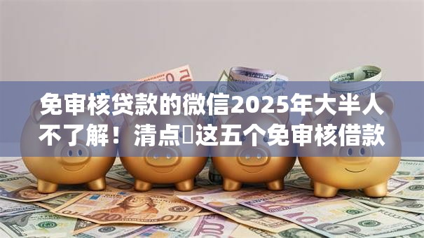 免审核贷款的微信2025年大半人不了解！清点​这五个免审核借款的微信app