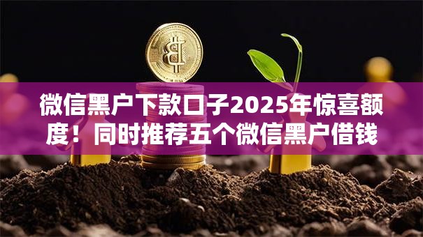 微信黑户下款口子2025年惊喜额度!同时推荐五个微信黑户借钱口子可下款 微信黑户下款口子2025年惊喜额度!同时推荐五个微信黑户借钱口子可下款