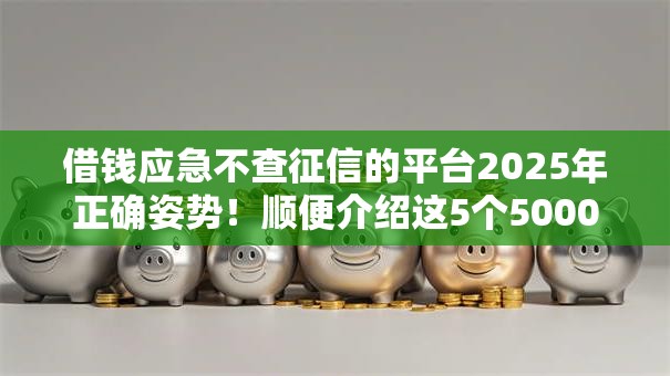 借钱应急不查征信的平台2025年正确姿势！顺便介绍这5个5000小贷快速到