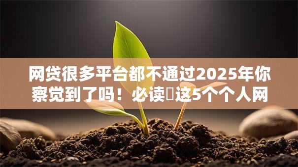 网贷很多平台都不通过2025年你察觉到了吗!必读这5个个人网贷大数据查询 网贷很多平台都不通过2025年你察觉到了吗!必读这5个个人网贷大数据查询