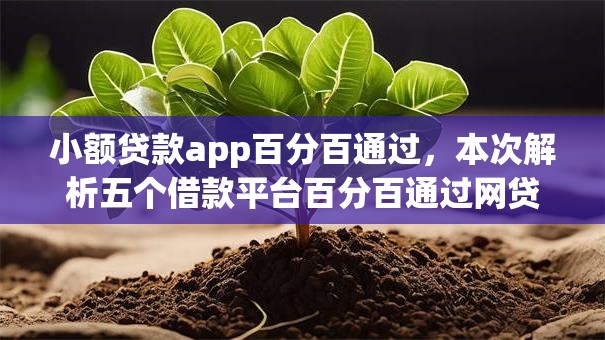 小额贷款app百分百通过,本次解析五个借款平台百分百通过网贷 小额贷款app百分百通过,本次解析五个借款平台百分百通过网贷