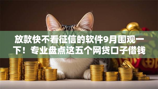 放款快不看征信的软件9月围观一下！专业盘点这五个网贷口子借钱快不用查征信
