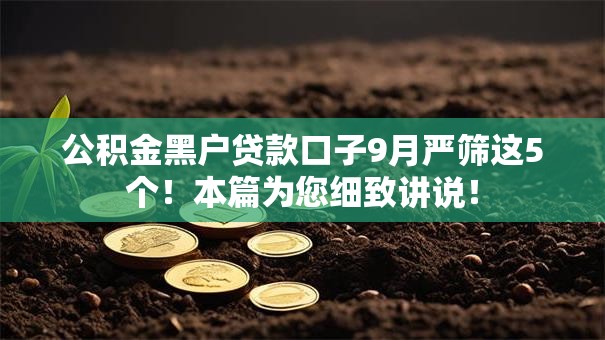 公积金黑户贷款口子9月严筛这5个！本篇为您细致讲说！