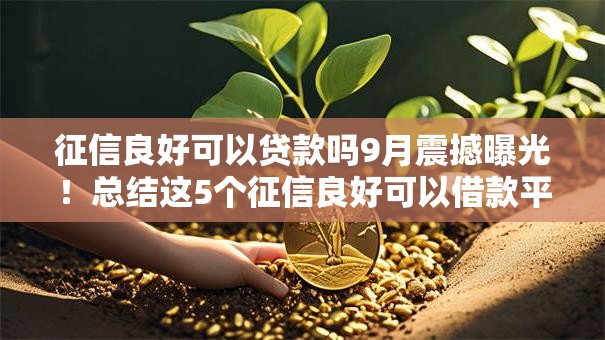 征信良好可以贷款吗9月震撼曝光!总结这5个征信良好可以借款平台通过 征信良好可以贷款吗9月震撼曝光!总结这5个征信良好可以借款平台通过