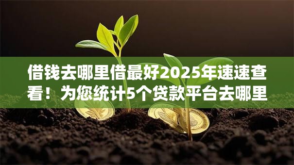 借钱去哪里借最好2025年速速查看!为您统计5个贷款平台去哪里借最好 借钱去哪里借最好2025年速速查看!为您统计5个贷款平台去哪里借最好