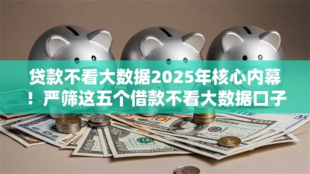 贷款不看大数据2025年核心内幕！严筛这五个借款不看大数据口子