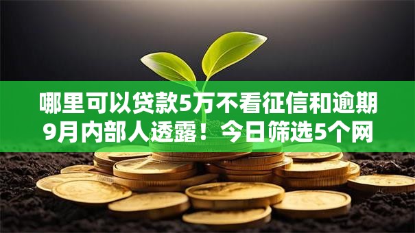 哪里可以贷款5万不看征信和逾期9月内部人透露!今日筛选5个网贷口子借钱5万不用征信和逾期 哪里可以贷款5万不看征信和逾期9月内部人透露!今日筛选5个网贷口子借钱5万不用征信和逾期