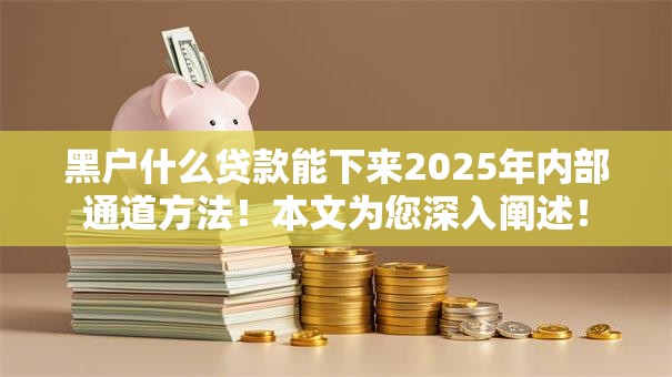 黑户什么贷款能下来2025年内部通道方法!本文为您深入阐述! 黑户什么贷款能下来2025年内部通道方法!本文为您深入阐述!