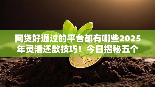 网贷好通过的平台都有哪些2025年灵活还款技巧!今日揭秘五个借款好通过口子都有软件 网贷好通过的平台都有哪些2025年灵活还款技巧!今日揭秘五个借款好通过口子都有软件