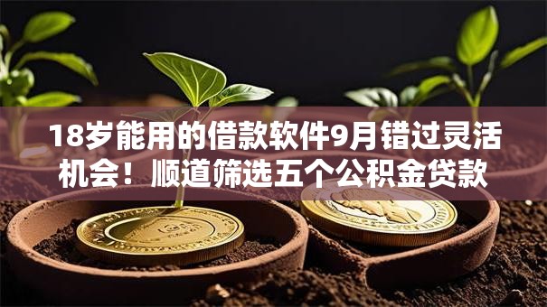 18岁能用的借款软件9月错过灵活机会!顺道筛选五个公积金贷款平台 18岁能用的借款软件9月错过灵活机会!顺道筛选五个公积金贷款平台