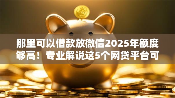 那里可以借款放微信2025年额度够高!专业解说这5个网贷平台可以放微信 那里可以借款放微信2025年额度够高!专业解说这5个网贷平台可以放微信