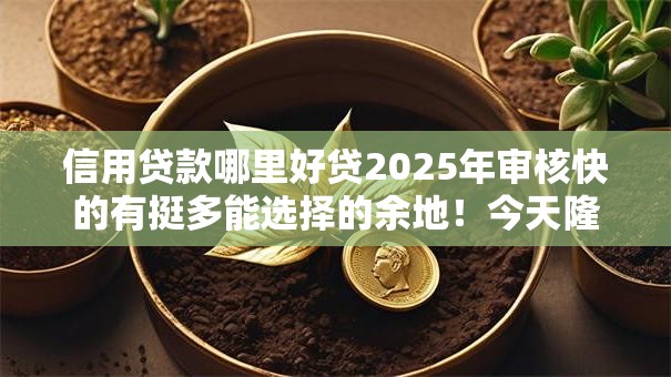 信用贷款哪里好贷2025年审核快的有挺多能选择的余地!今天隆重解析这五个借钱软件! 信用贷款哪里好贷2025年审核快的有挺多能选择的余地!今天隆重解析这五个借钱软件!