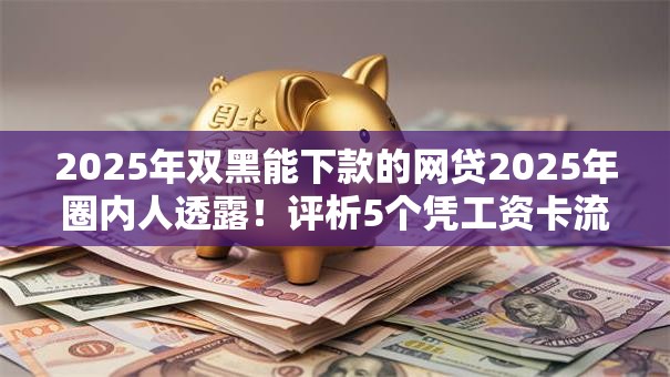 2025年双黑能下款的网贷2025年圈内人透露!评析5个凭工资卡流水借款 2025年双黑能下款的网贷2025年圈内人透露!评析5个凭工资卡流水借款