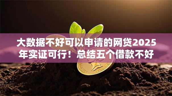 大数据不好可以申请的网贷2025年实证可行!总结五个借款不好平台可以申请贷款 大数据不好可以申请的网贷2025年实证可行!总结五个借款不好平台可以申请贷款