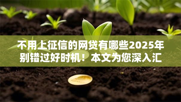 不用上征信的网贷有哪些2025年别错过好时机!本文为您深入汇集! 不用上征信的网贷有哪些2025年别错过好时机!本文为您深入汇集!