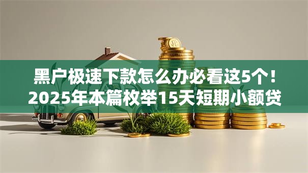 黑户极速下款怎么办必看这5个！2025年本篇枚举15天短期小额贷款