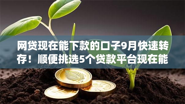 网贷现在能下款的口子9月快速转存!顺便挑选5个贷款平台现在能下款的app 网贷现在能下款的口子9月快速转存!顺便挑选5个贷款平台现在能下款的app