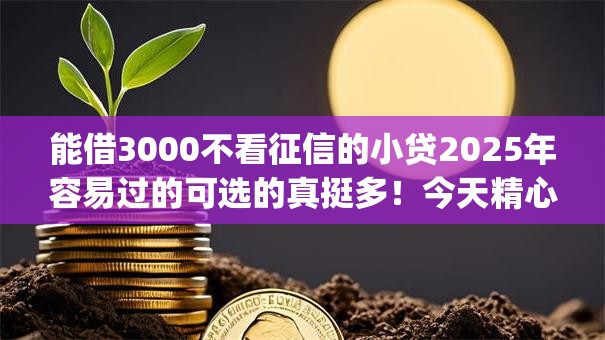 能借3000不看征信的小贷2025年容易过的可选的真挺多!今天精心归总这5个黑户贷款app! 能借3000不看征信的小贷2025年容易过的可选的真挺多!今天精心归总这5个黑户贷款app!