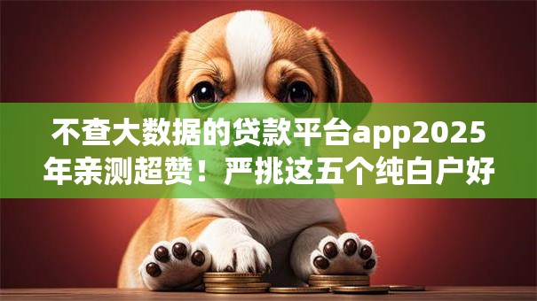 不查大数据的贷款平台app2025年亲测超赞!严挑这五个纯白户好下款的网贷口子 不查大数据的贷款平台app2025年亲测超赞!严挑这五个纯白户好下款的网贷口子