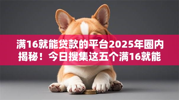 满16就能贷款的平台2025年圈内揭秘!今日搜集这五个满16就能借钱的口子 满16就能贷款的平台2025年圈内揭秘!今日搜集这五个满16就能借钱的口子