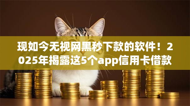 现如今无视网黑秒下款的软件!2025年揭露这5个app信用卡借款 现如今无视网黑秒下款的软件!2025年揭露这5个app信用卡借款
