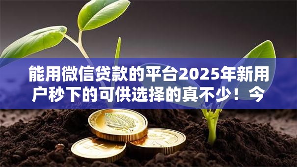 能用微信贷款的平台2025年新用户秒下的可供选择的真不少!今天精心推选这五个网贷口子! 能用微信贷款的平台2025年新用户秒下的可供选择的真不少!今天精心推选这五个网贷口子!