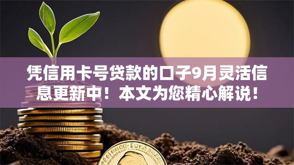 凭信用卡号贷款的口子9月灵活信息更新中!本文为您精心解说! 凭信用卡号贷款的口子9月灵活信息更新中!本文为您精心解说!