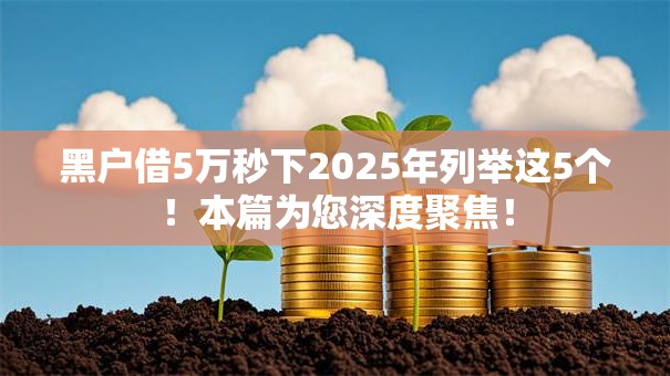 黑户借5万秒下2025年列举这5个!本篇为您深度聚焦! 黑户借5万秒下2025年列举这5个!本篇为您深度聚焦!